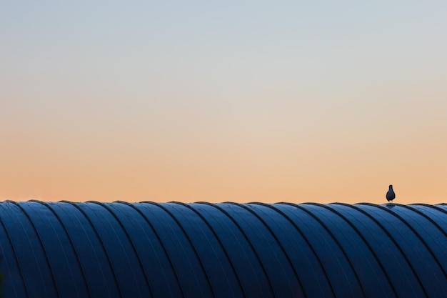 Understanding 2025 Renewable Energy Tax Credit Changes