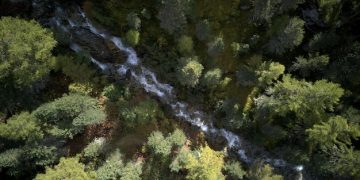 Understanding Federal Environmental Guidelines in 2025: A Comprehensive Guide - Cover Image