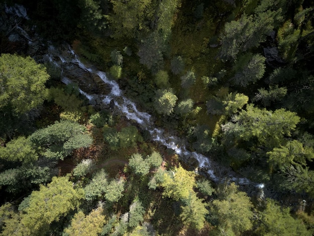 Understanding Federal Environmental Guidelines in 2025: A Comprehensive Guide